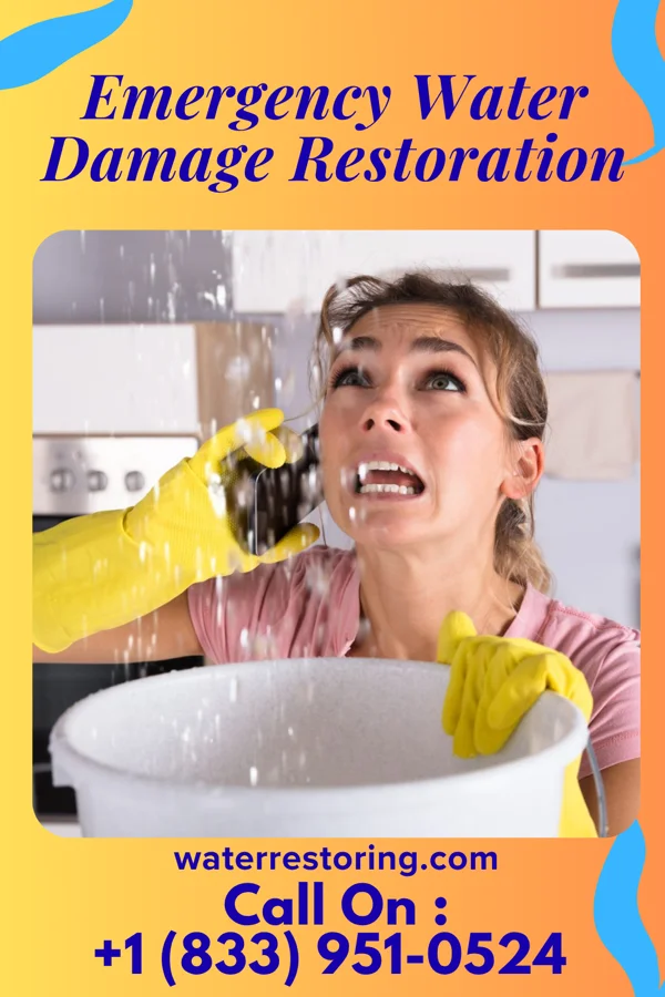 Emergency Water Damage Restoration in Woodbine, NJ