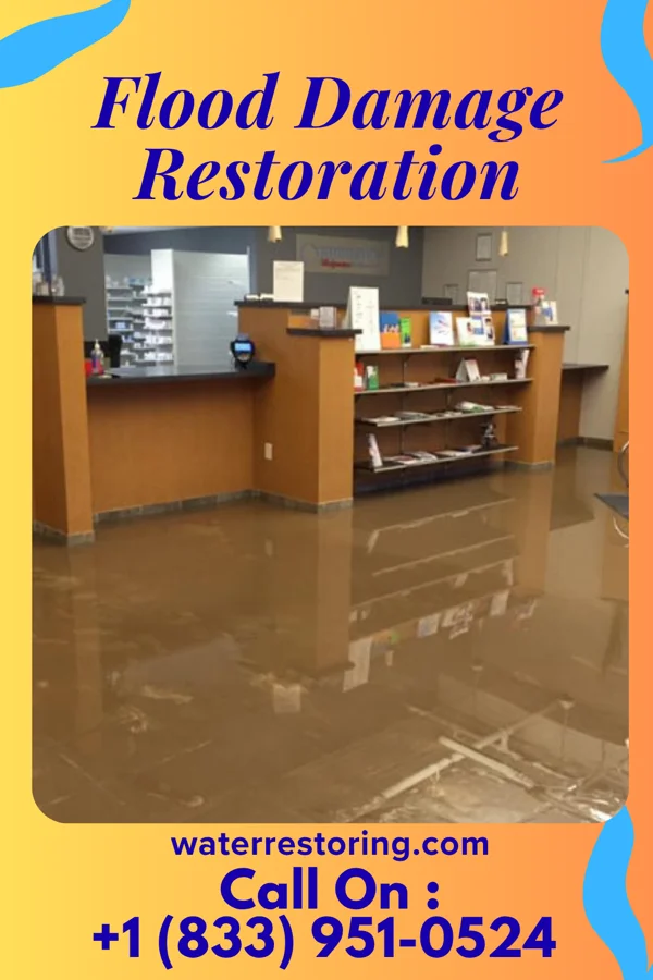 Flood Damage Restoration in Woodbine, NJ