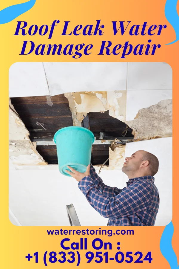 Roof Leak Water Damage Repair in Woodbine, NJ