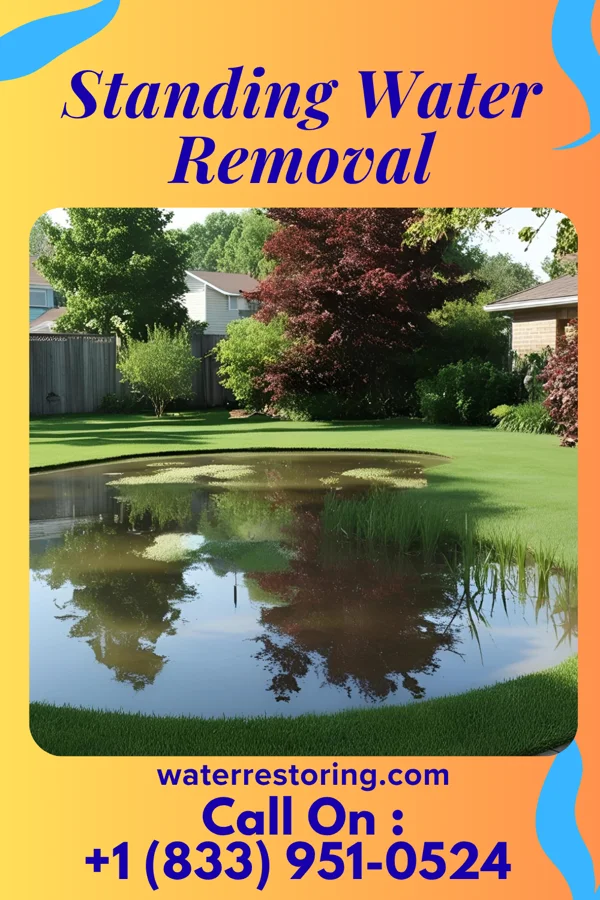 Standing Water Removal in Woodbine, NJ